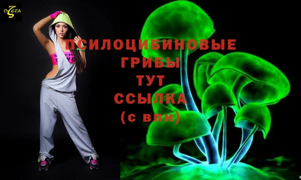 гашишное масло Ельня