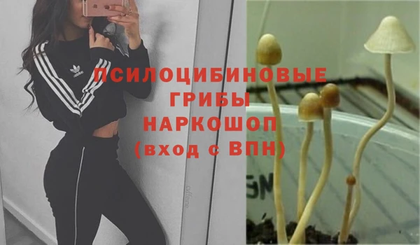 гашишное масло Ельня