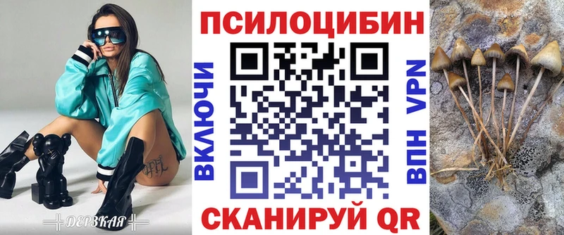 Псилоцибиновые грибы Psilocybine cubensis Светлый